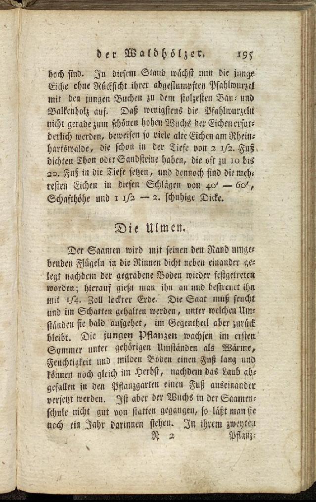 RH Becker Fiedler Handbuch Forstwirtschaft 204