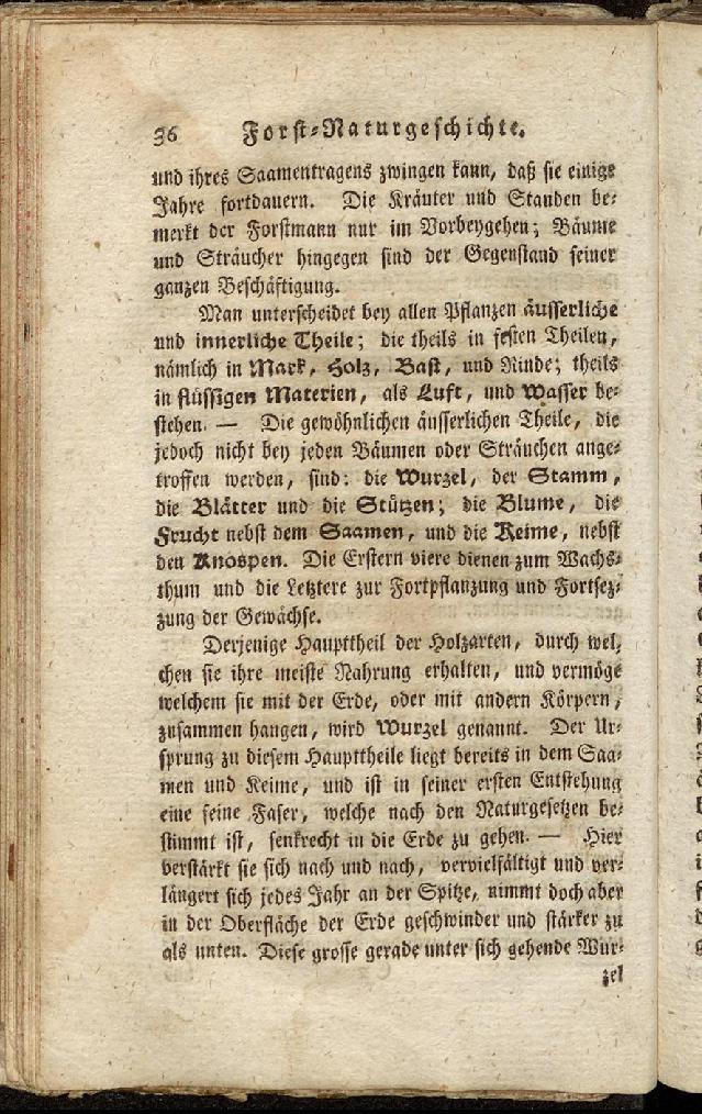 RH Becker Fiedler Handbuch Forstwirtschaft 045