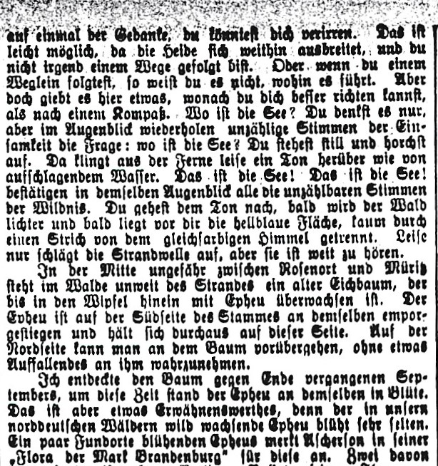 RH J_Trojan Aus der Rostocker Heide 1884 06