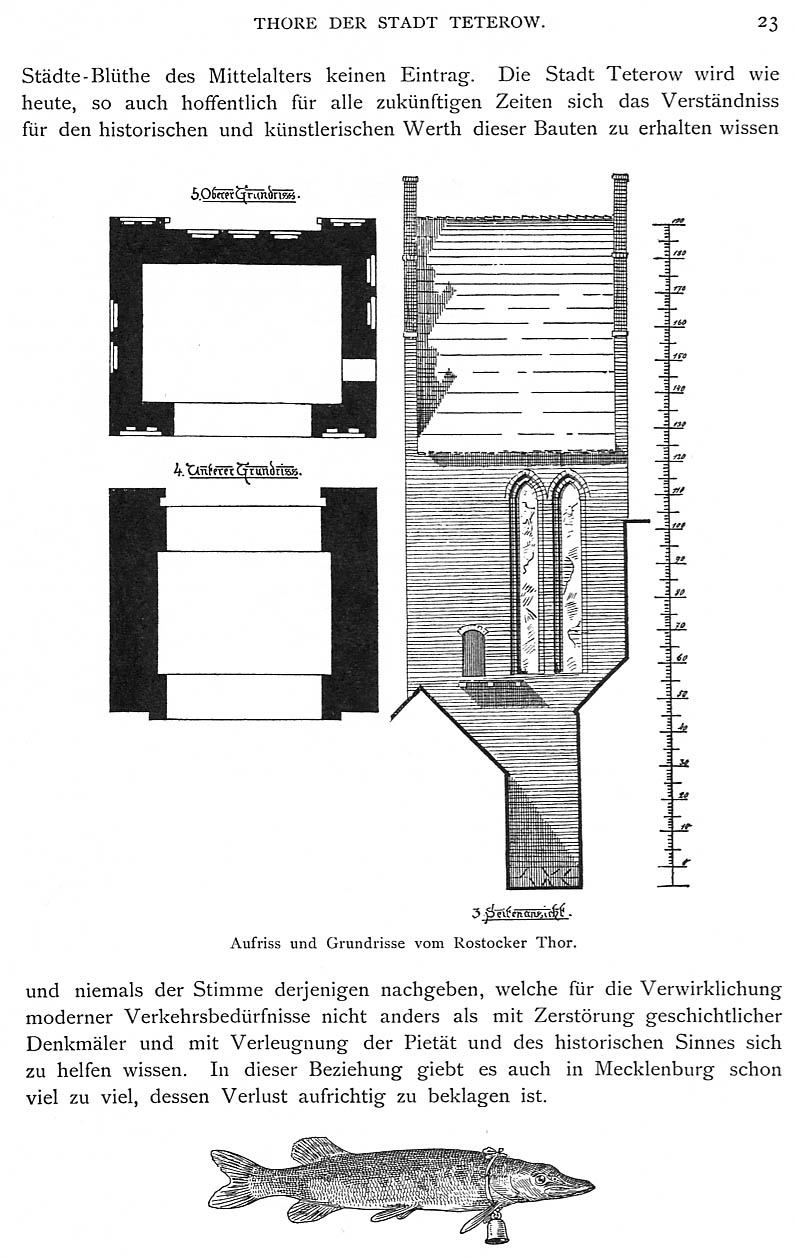 Teterow Schlie Bd 5 S 023