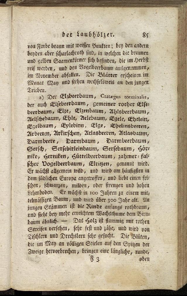 RH Becker Fiedler Handbuch Forstwirtschaft 094