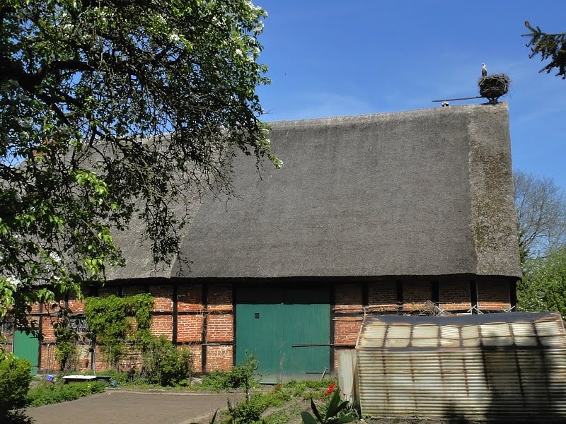 Datei:Fotopa Dölitz K.jpg