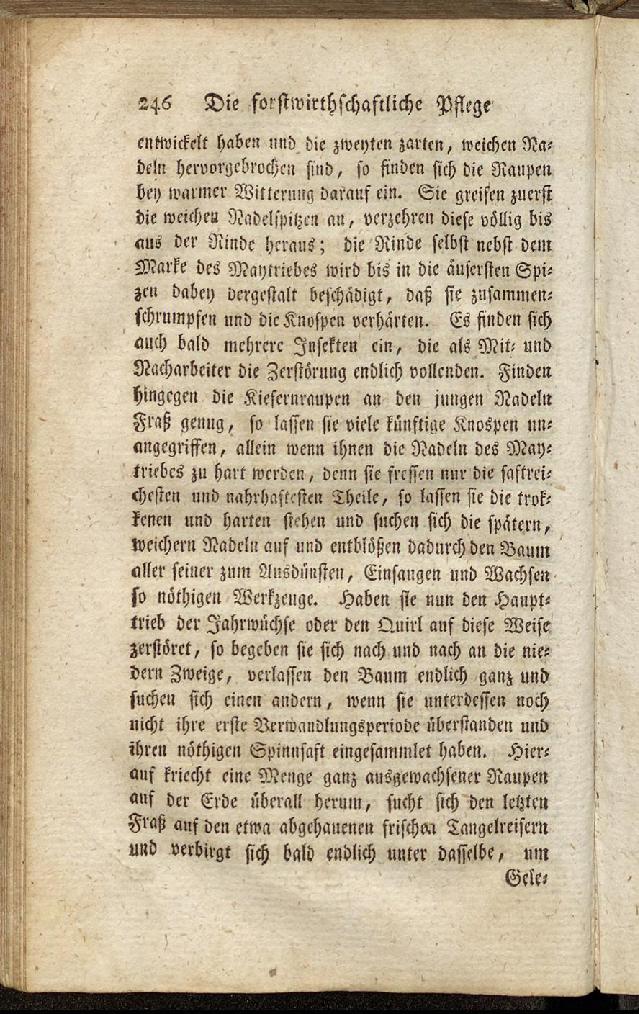 RH Becker Fiedler Handbuch Forstwirtschaft 255