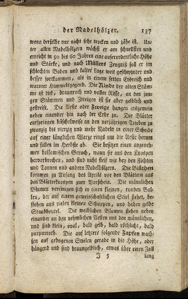 RH Becker Fiedler Handbuch Forstwirtschaft 146