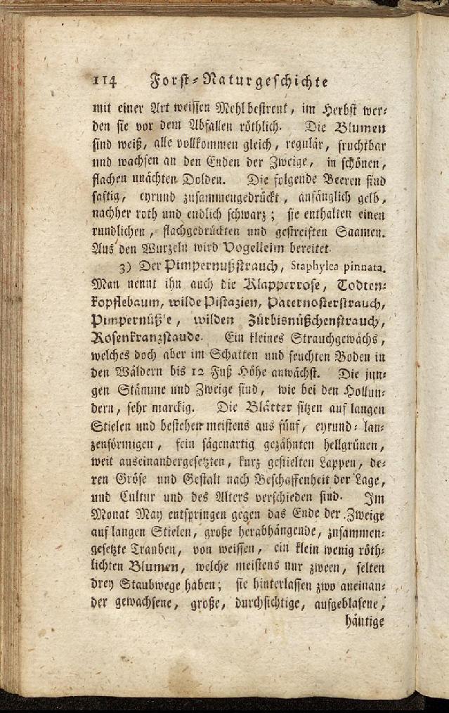 RH Becker Fiedler Handbuch Forstwirtschaft 123