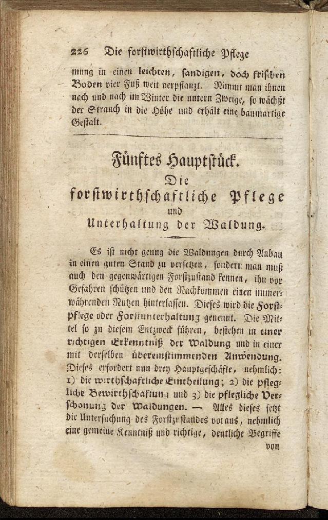 RH Becker Fiedler Handbuch Forstwirtschaft 235