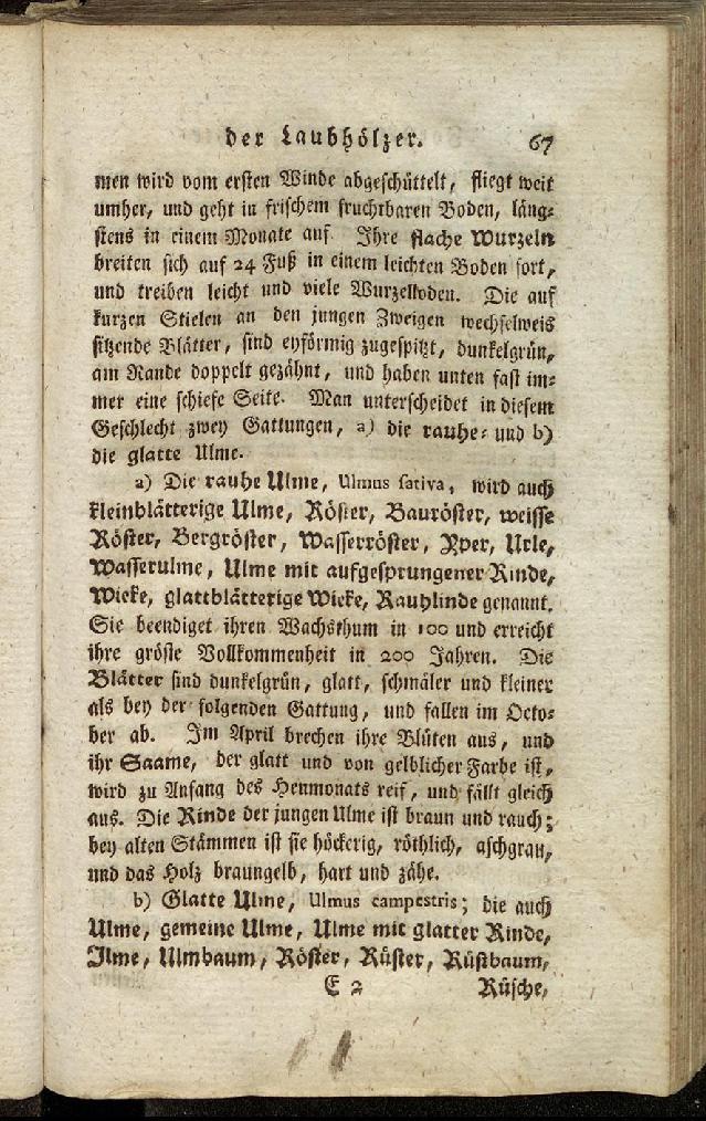 RH Becker Fiedler Handbuch Forstwirtschaft 076