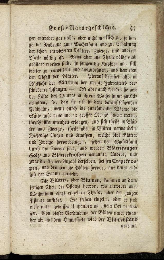 RH Becker Fiedler Handbuch Forstwirtschaft 054