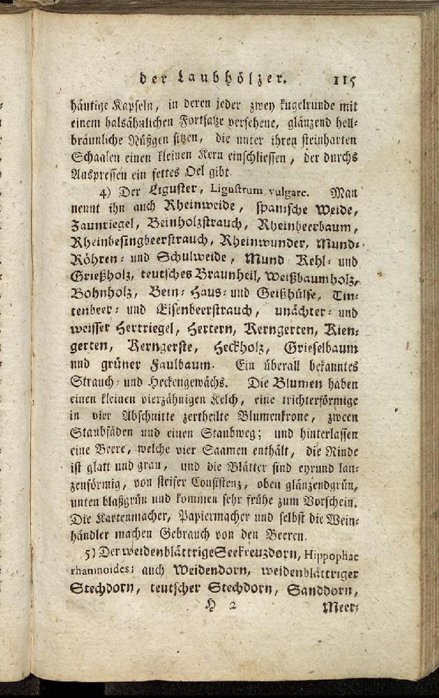RH Becker Fiedler Handbuch Forstwirtschaft 124