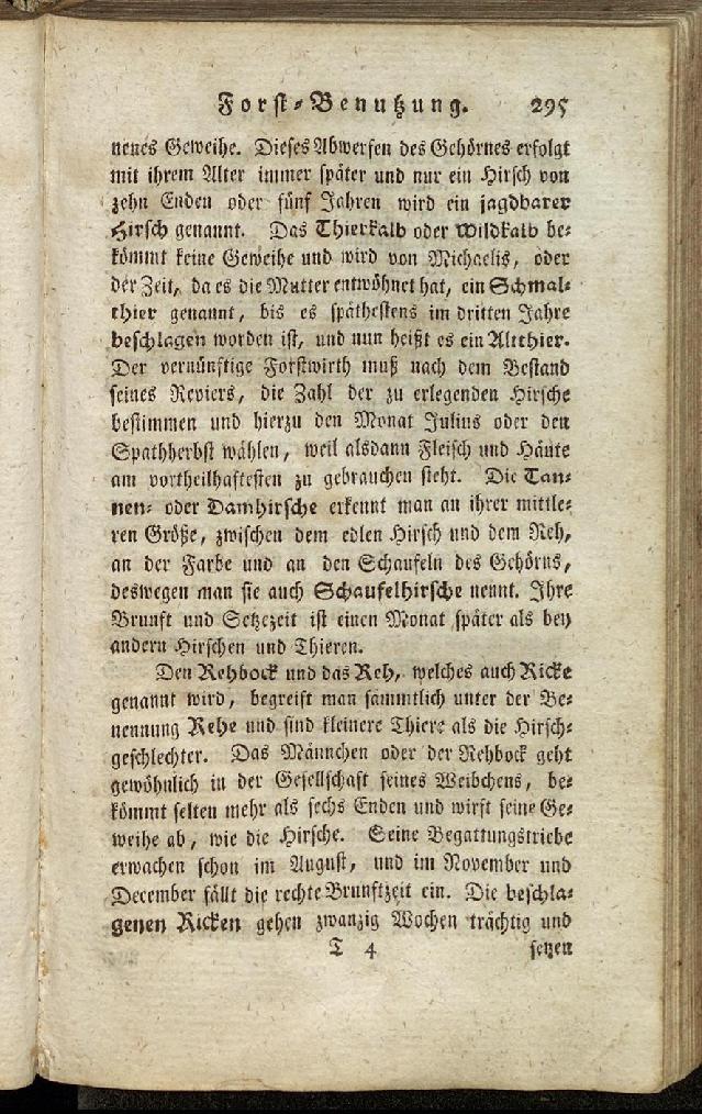 RH Becker Fiedler Handbuch Forstwirtschaft 304