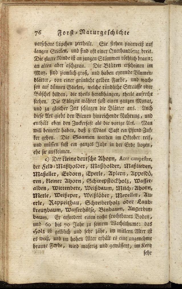 RH Becker Fiedler Handbuch Forstwirtschaft 085