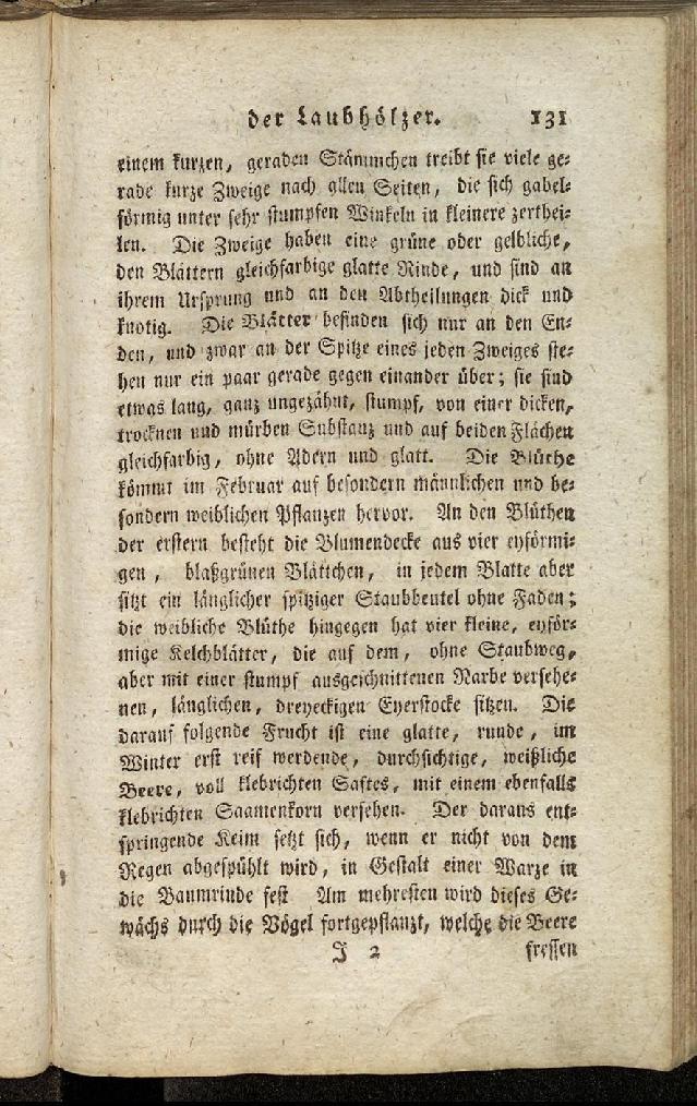 RH Becker Fiedler Handbuch Forstwirtschaft 140