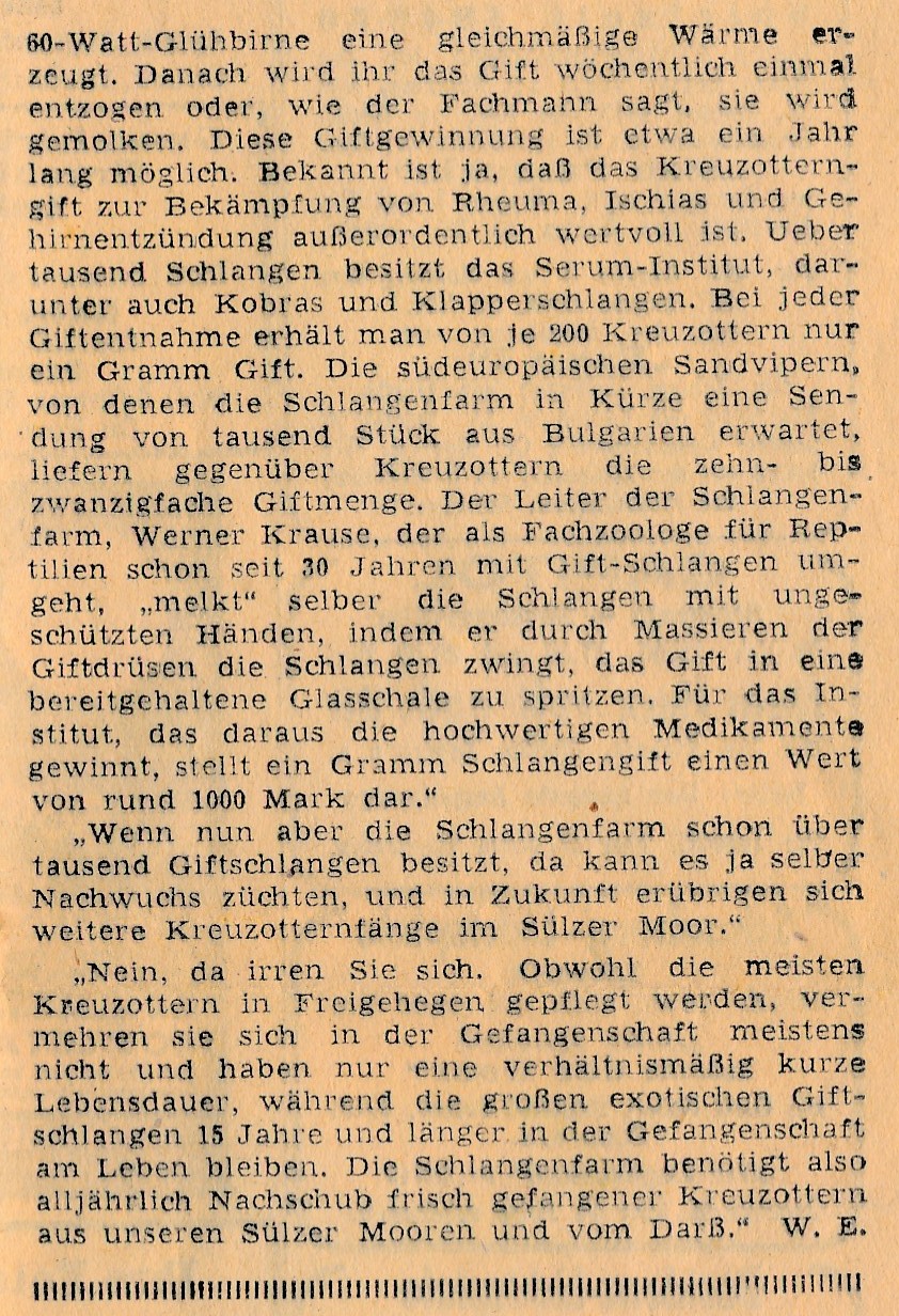 Sülzer Kreuzotterfänger NdZ 8/1949 04