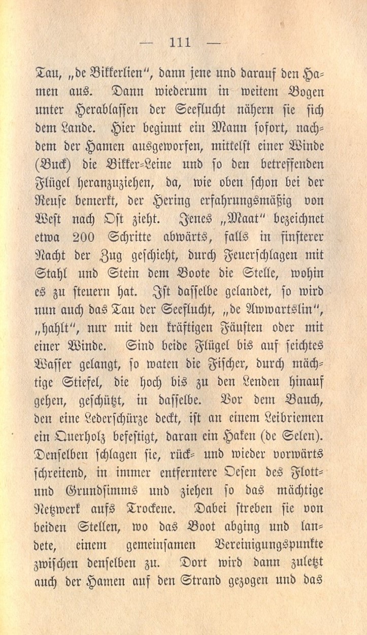 Dolberg KW 1885 111