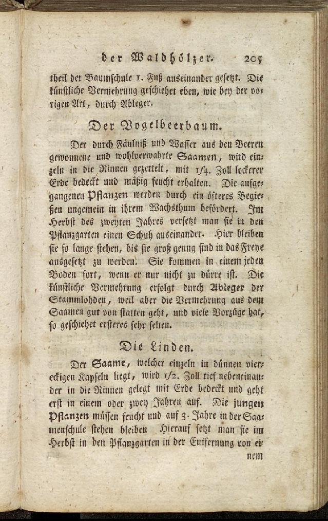 RH Becker Fiedler Handbuch Forstwirtschaft 214