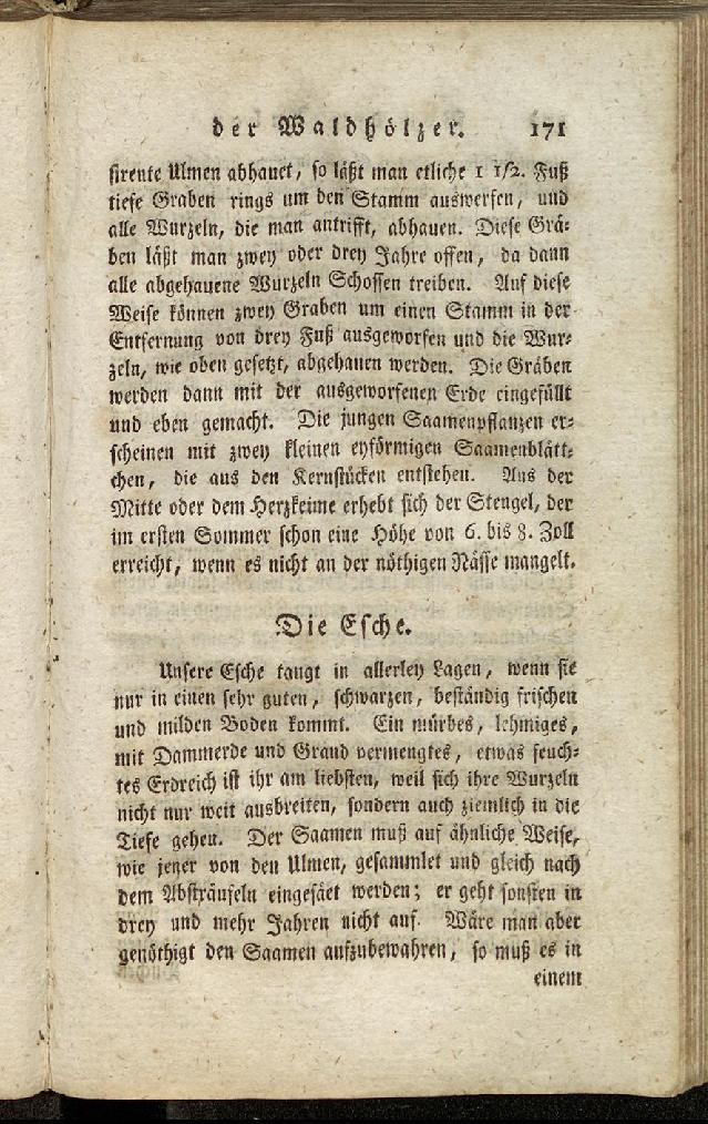 RH Becker Fiedler Handbuch Forstwirtschaft 180