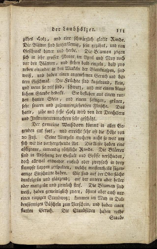 RH Becker Fiedler Handbuch Forstwirtschaft 120