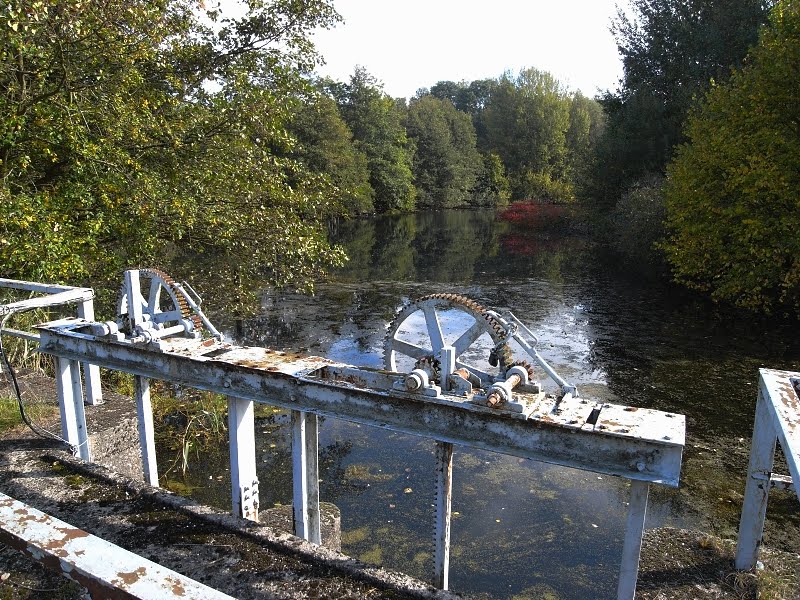 Datei:Fotopa Dobbin K.jpg