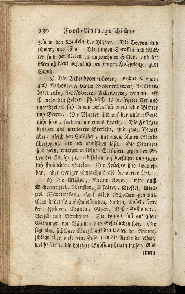 RH Becker Fiedler Handbuch Forstwirtschaft 139