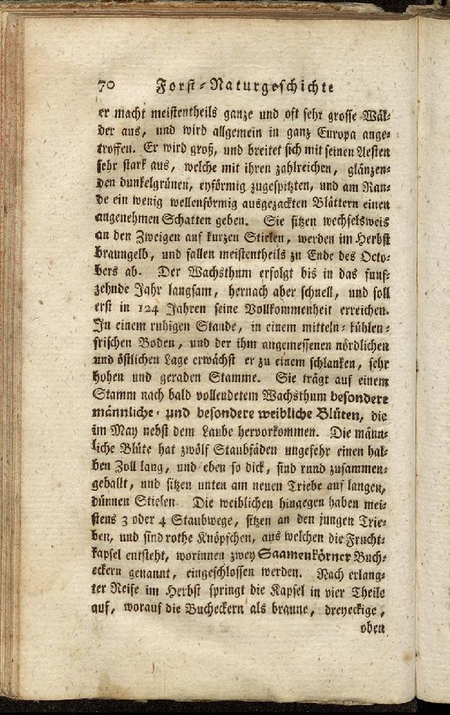 RH Becker Fiedler Handbuch Forstwirtschaft 079