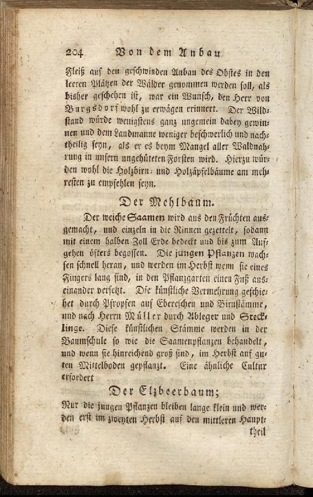 RH Becker Fiedler Handbuch Forstwirtschaft 213