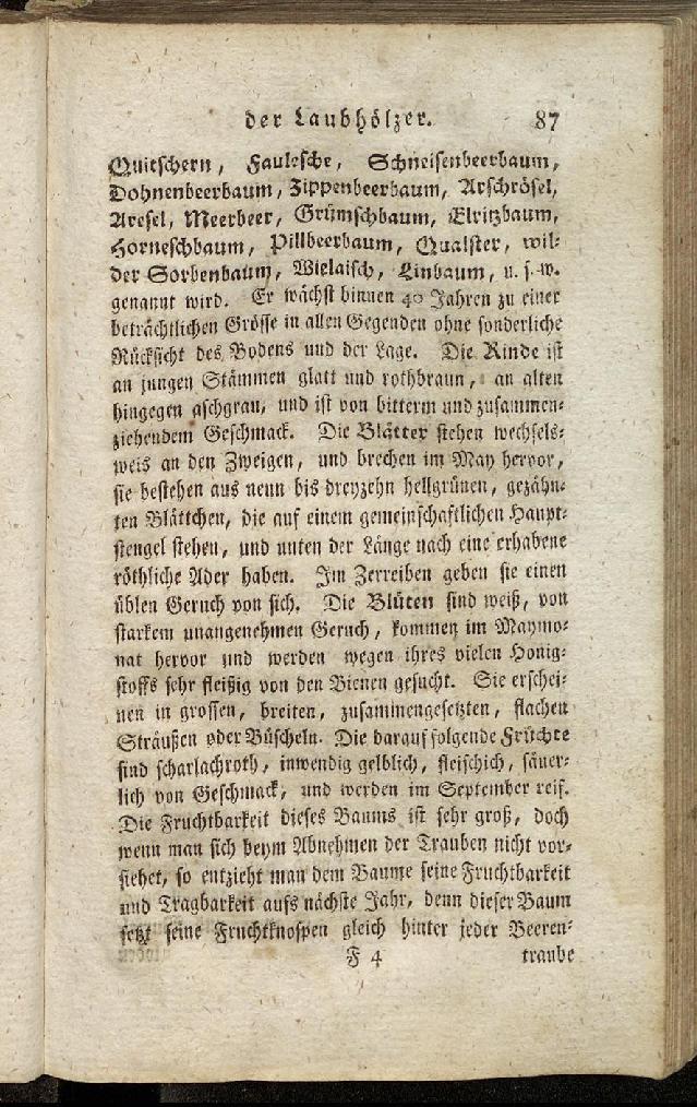 RH Becker Fiedler Handbuch Forstwirtschaft 096