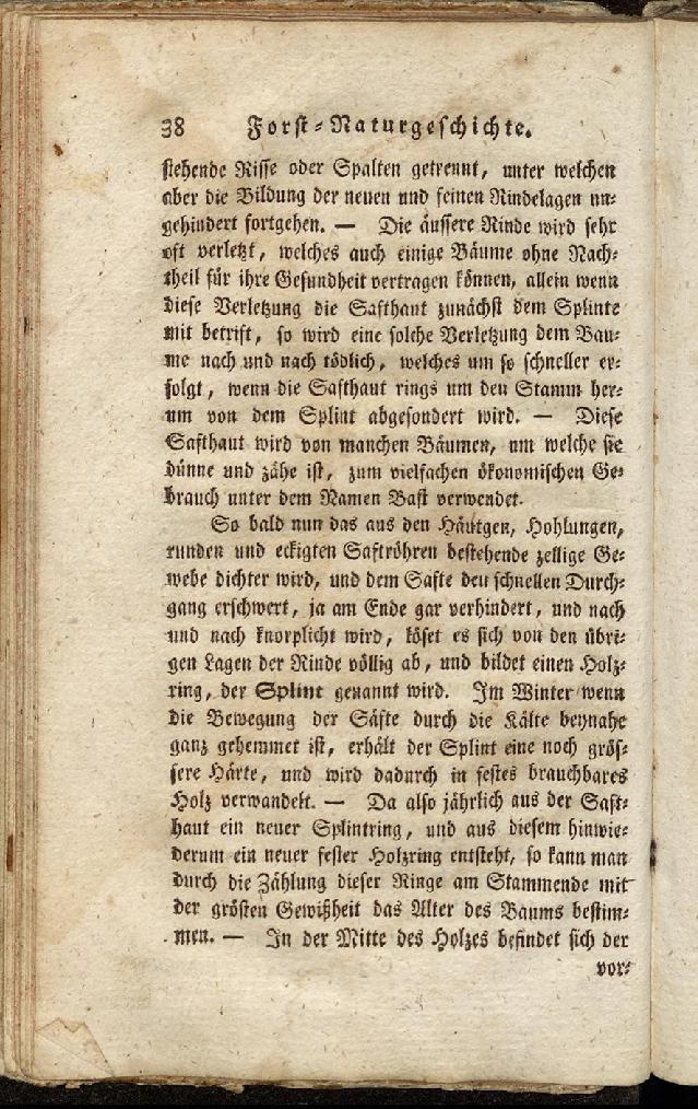 RH Becker Fiedler Handbuch Forstwirtschaft 047