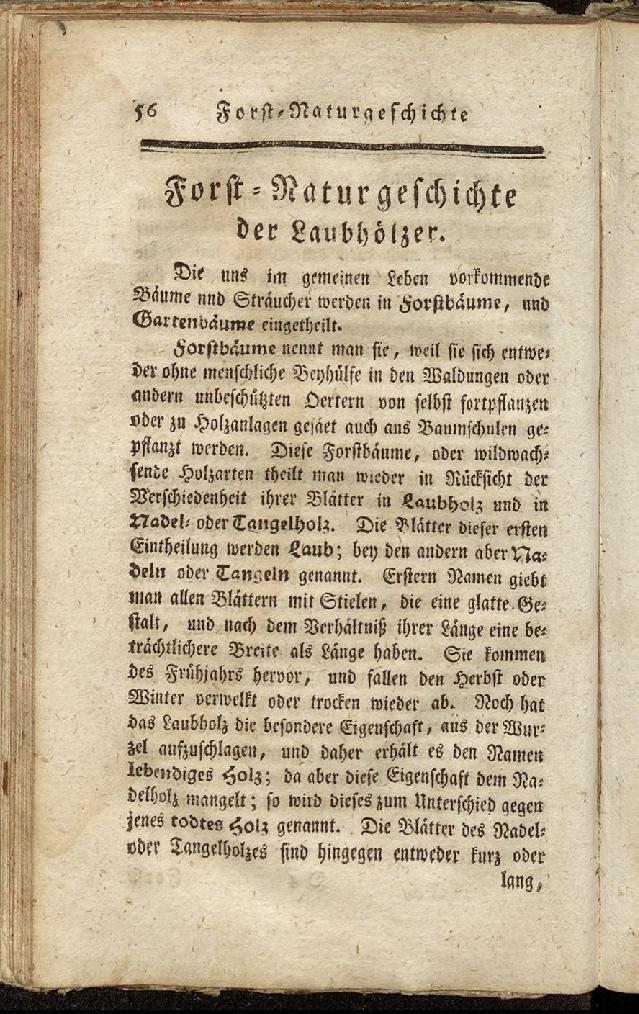 RH Becker Fiedler Handbuch Forstwirtschaft 065