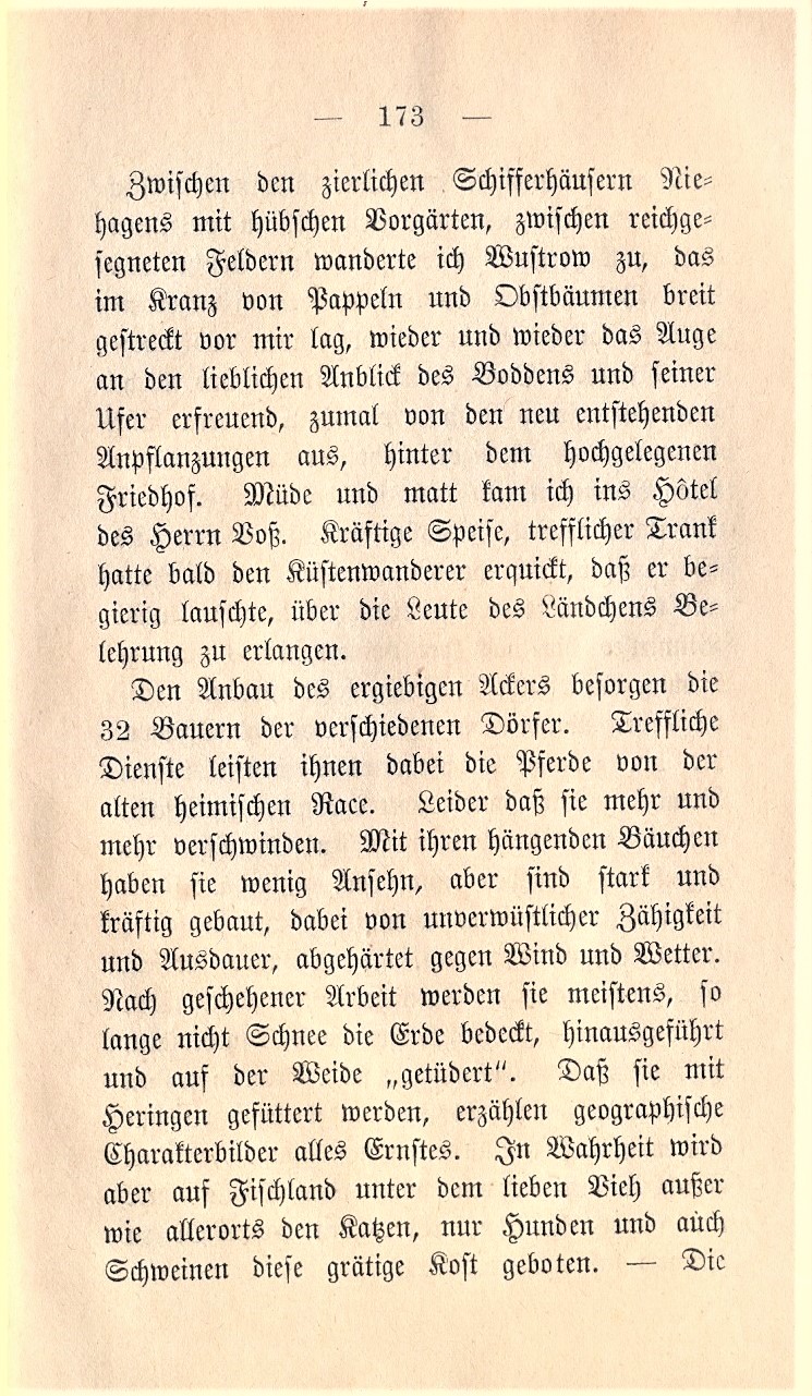 Dolberg KW 1885 173