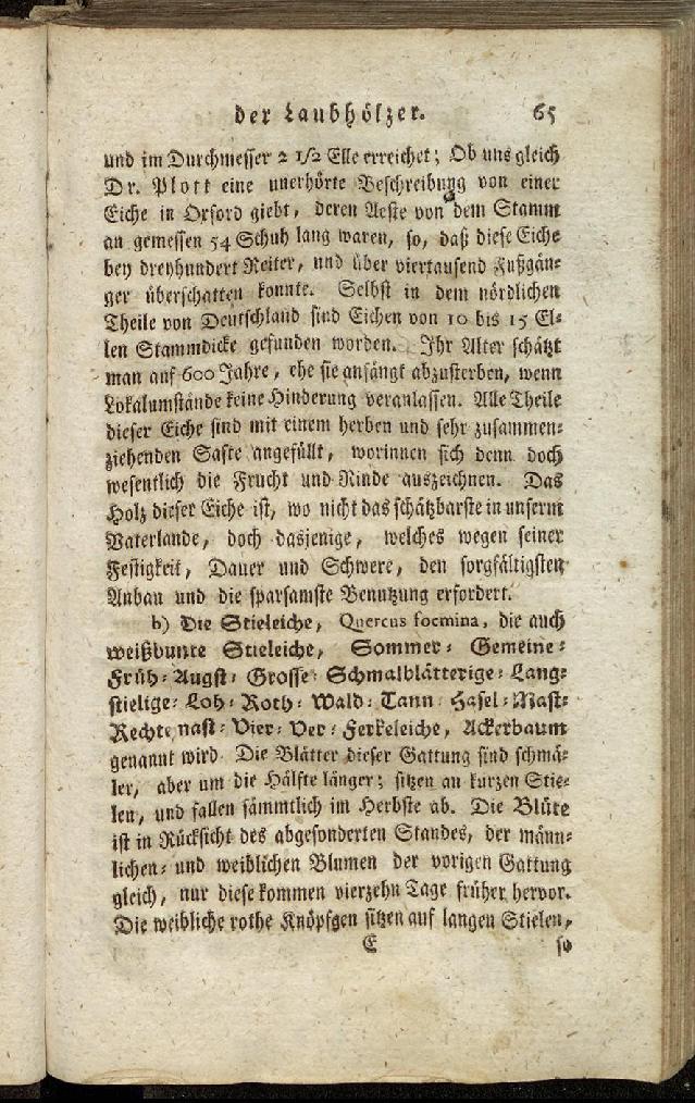 RH Becker Fiedler Handbuch Forstwirtschaft 074