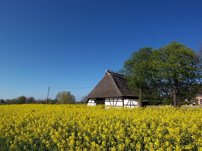 Datei:Fotopa Allershagen K.jpg