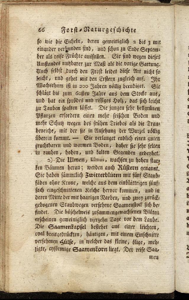 RH Becker Fiedler Handbuch Forstwirtschaft 075
