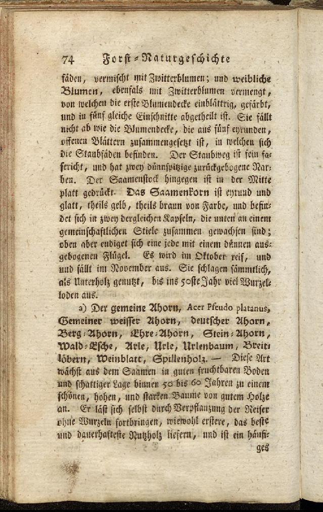 RH Becker Fiedler Handbuch Forstwirtschaft 083