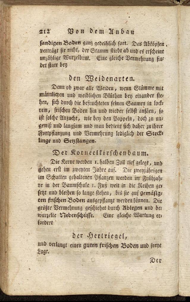 RH Becker Fiedler Handbuch Forstwirtschaft 221