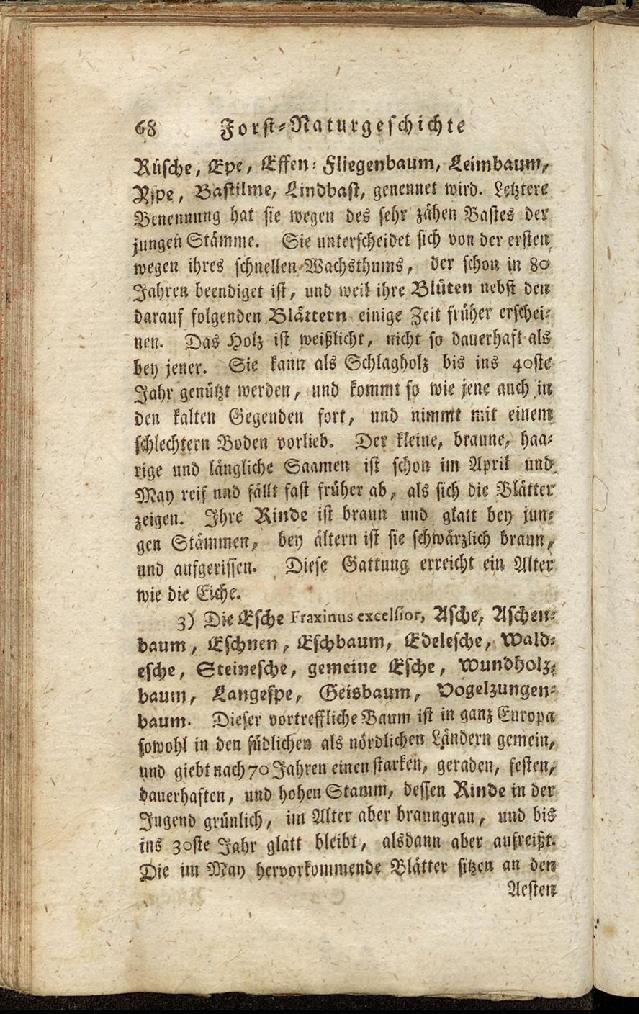 RH Becker Fiedler Handbuch Forstwirtschaft 077