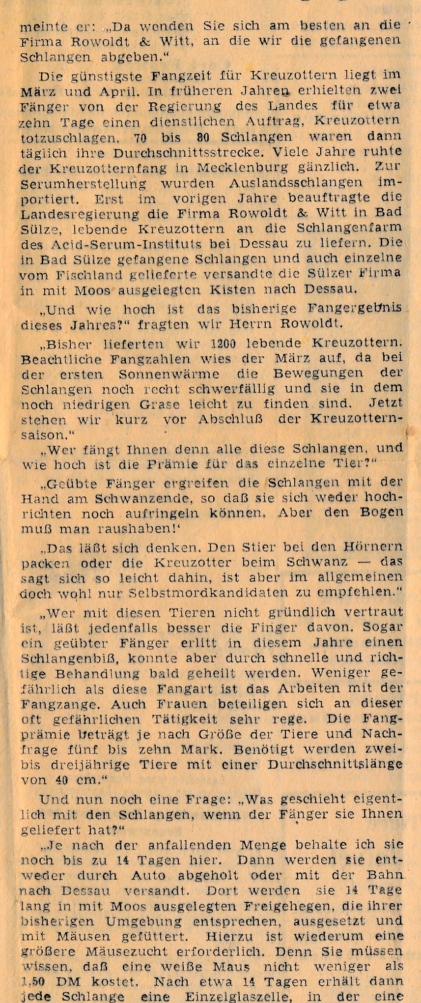 Sülzer Kreuzotterfänger NdZ 8/1949 03