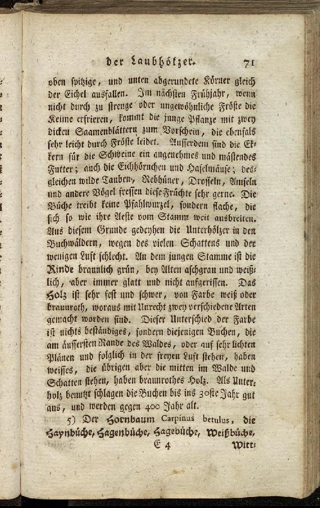 RH Becker Fiedler Handbuch Forstwirtschaft 080