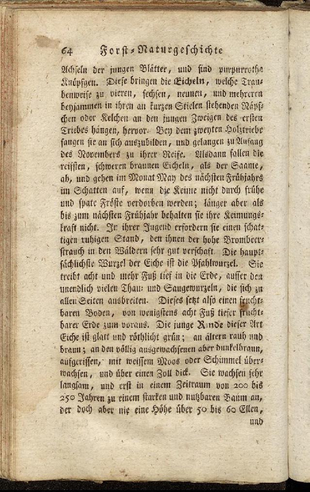 RH Becker Fiedler Handbuch Forstwirtschaft 073