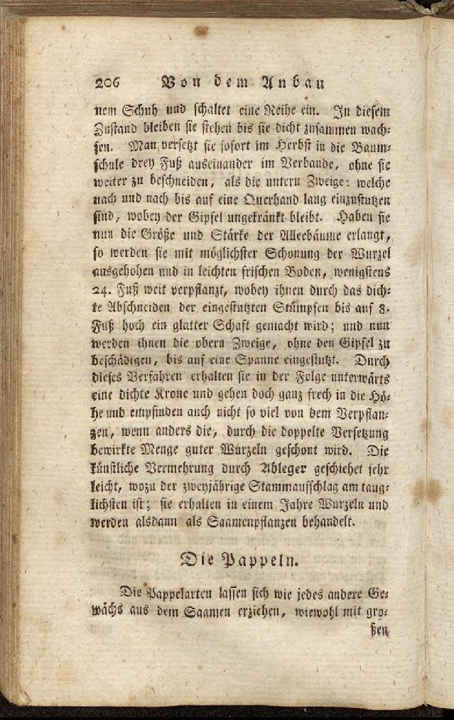 RH Becker Fiedler Handbuch Forstwirtschaft 215