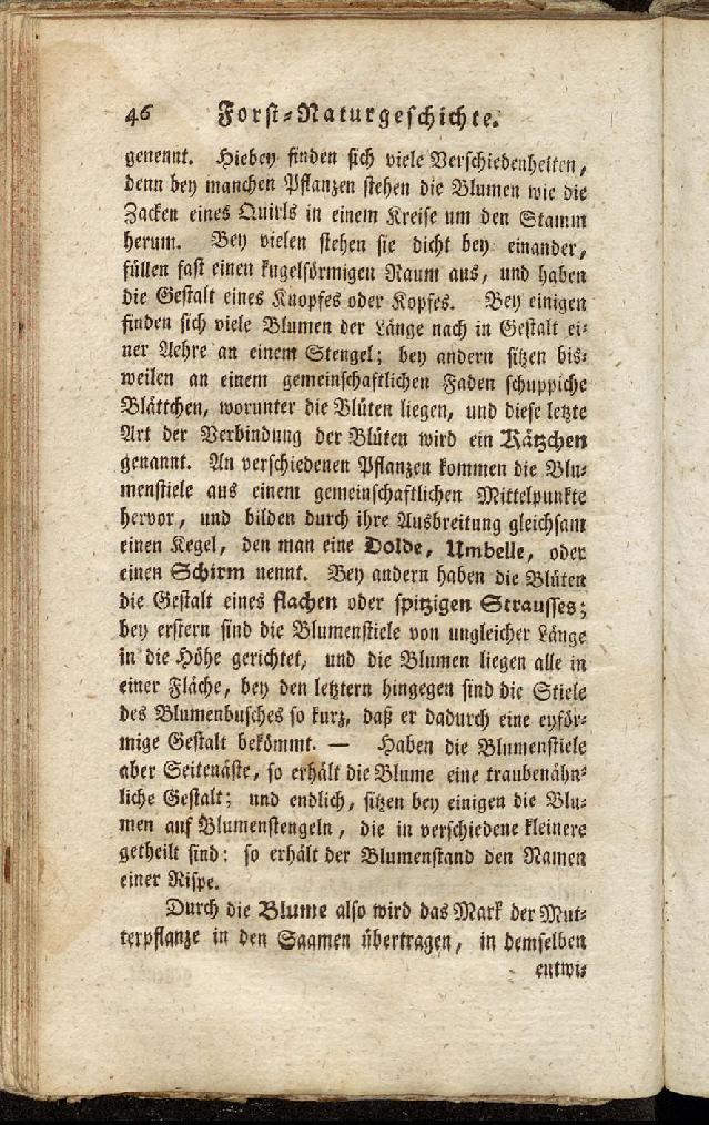 RH Becker Fiedler Handbuch Forstwirtschaft 055