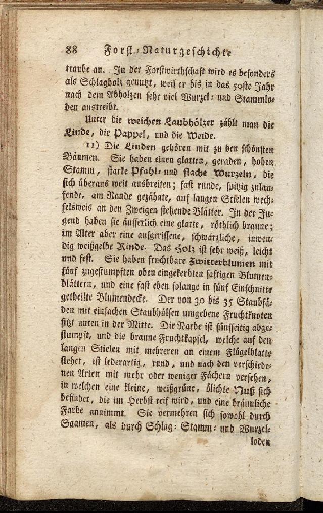 RH Becker Fiedler Handbuch Forstwirtschaft 097