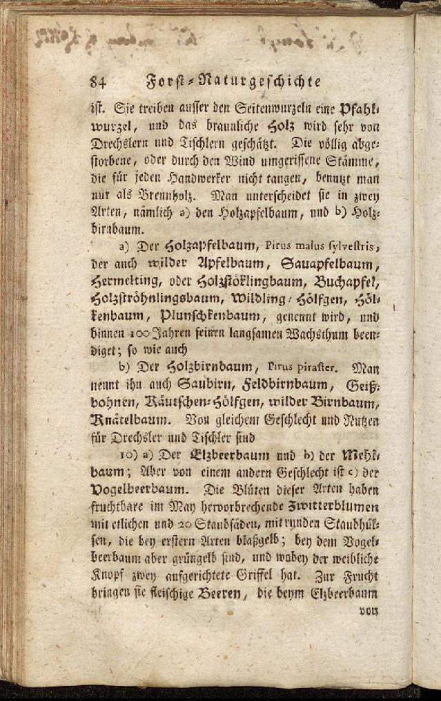 RH Becker Fiedler Handbuch Forstwirtschaft 093