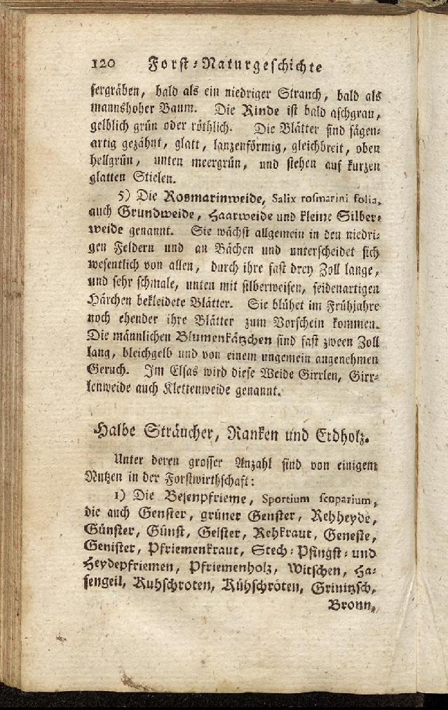 RH Becker Fiedler Handbuch Forstwirtschaft 129