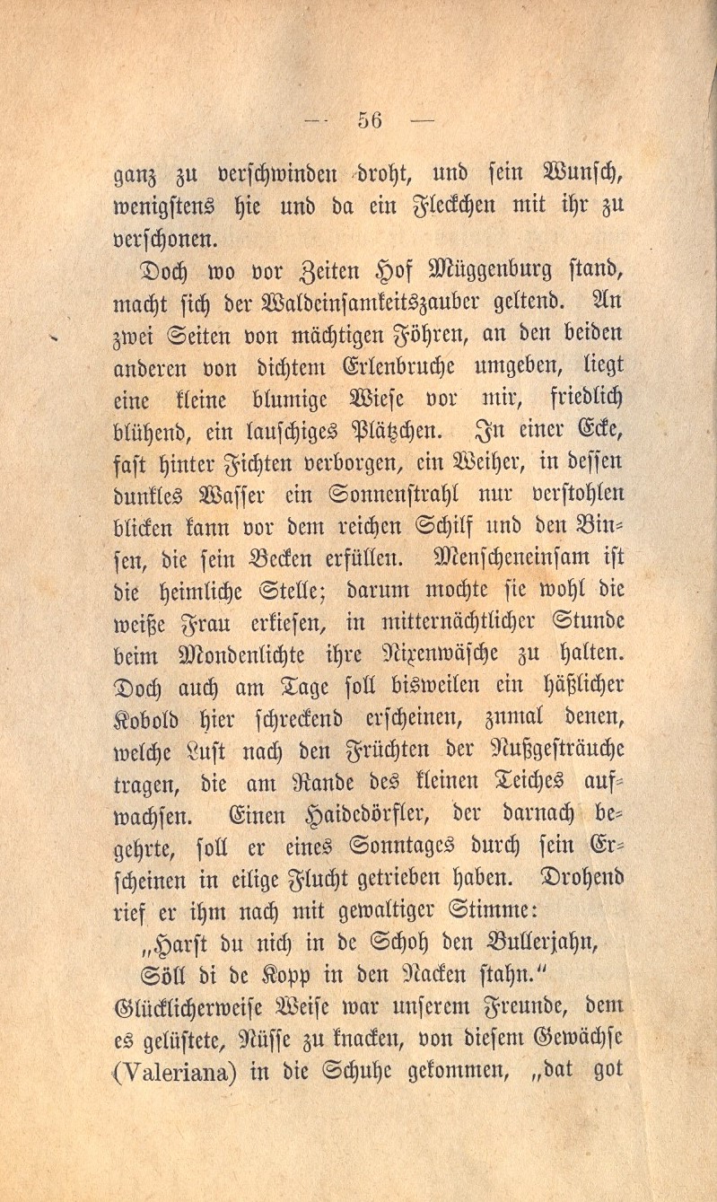Dolberg KW 1885 056