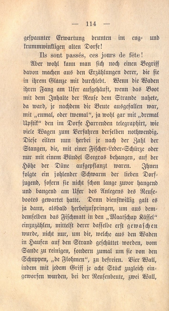 Dolberg KW 1885 114