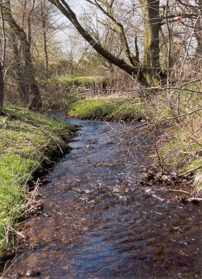 Der Hellbach bei Kirch Mulsow