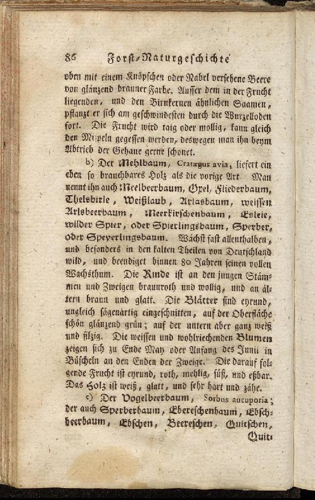 RH Becker Fiedler Handbuch Forstwirtschaft 095