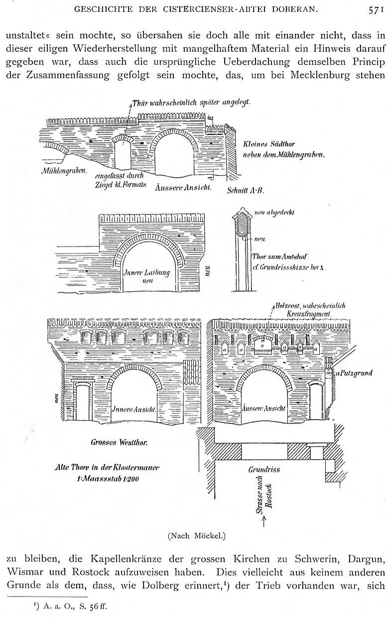 Hirschb Wies 024