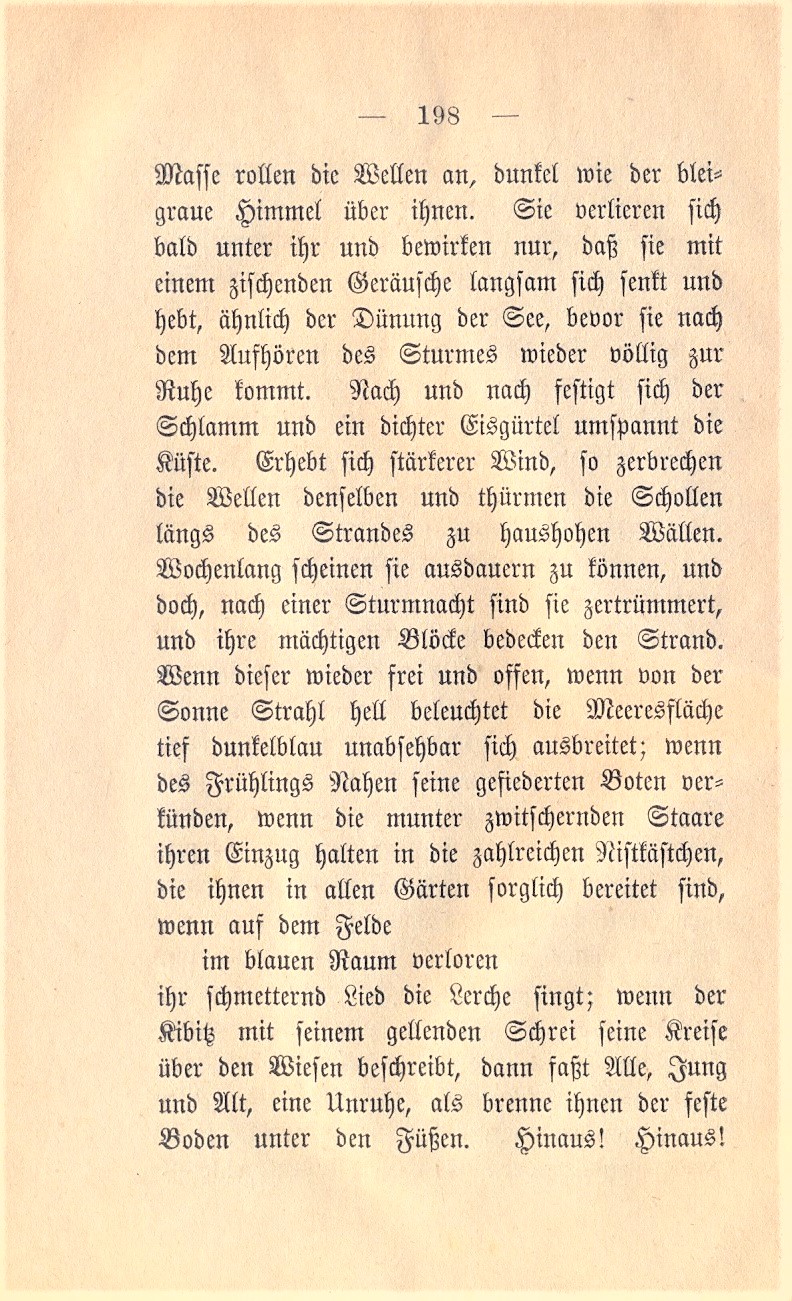 Dolberg KW 1885 198