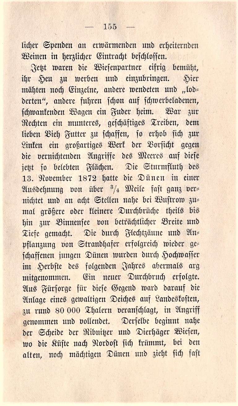 Dolberg KW 1885 155